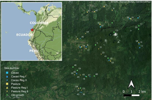 Satellitenbild von Colombia, Ecuador and Perú